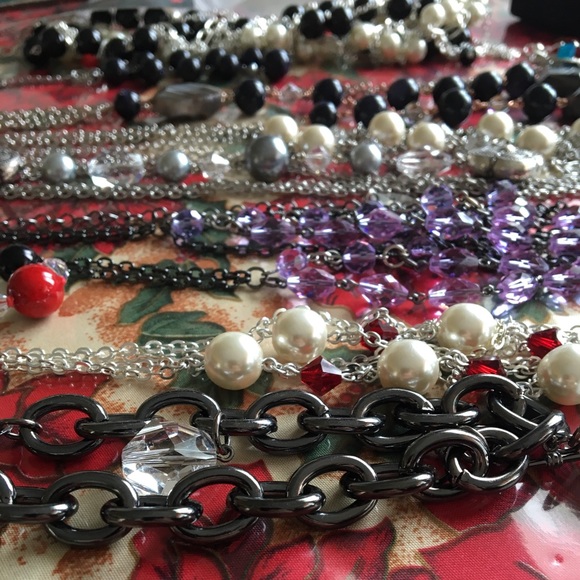 Meet your Posher, Rose🌹🌹🌹🌹 - Picture 6 of 8